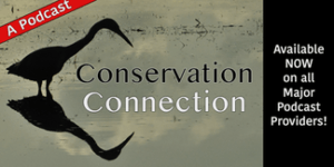 7. Conservation Connection Podcast